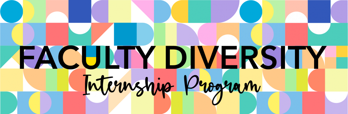 Faculty Diversity Internship Program